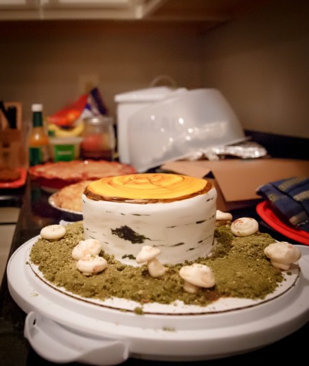Jen's beautiful and delicious birch cake with meringue mushrooms